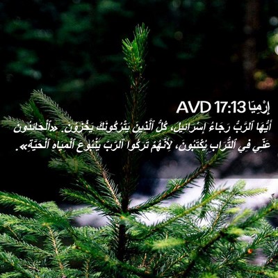 Picture 02 - إِرْمِيَا 17:13 AVD - أَيُّهَا ٱلرَّبُّ رَجَاءُ - Bible Verse Picture