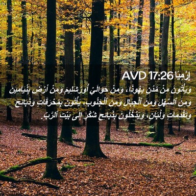 Picture 02 - إِرْمِيَا 17:26 AVD - وَيَأْتُونَ مِنْ مُدُنِ - Bible Verse Picture