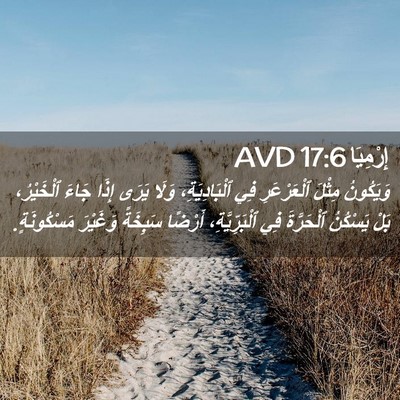 Picture 02 - إِرْمِيَا 17:6 AVD - وَيَكُونُ مِثْلَ - Bible Verse Picture