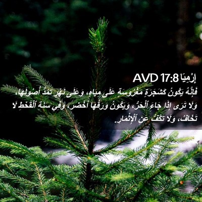 Picture 02 - إِرْمِيَا 17:8 AVD - فَإِنَّهُ يَكُونُ - Bible Verse Picture
