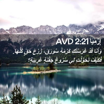 Picture 02 - إِرْمِيَا 2:21 AVD - وَأَنَا قَدْ غَرَسْتُكِ - Bible Verse Picture