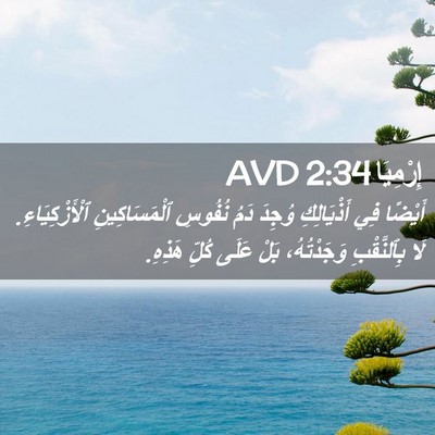 Picture 02 - إِرْمِيَا 2:34 AVD - أَيْضًا فِي أَذْيَالِكِ - Bible Verse Picture