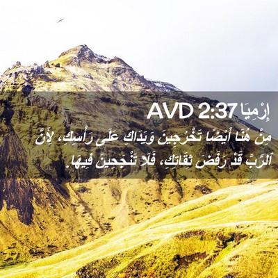 Picture 02 - إِرْمِيَا 2:37 AVD - مِنْ هُنَا أَيْضًا - Bible Verse Picture