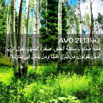Picture 02 - إِرْمِيَا 21:13 AVD - هَأَنَذَا ضِدُّكِ يَا - Bible Verse Picture