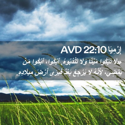 Picture 02 - إِرْمِيَا 22:10 AVD - «لَا تَبْكُوا مَيْتًا - Bible Verse Picture