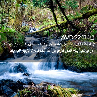 Picture 02 - إِرْمِيَا 22:11 AVD - لِأَنَّهُ هَكَذَا قَالَ - Bible Verse Picture