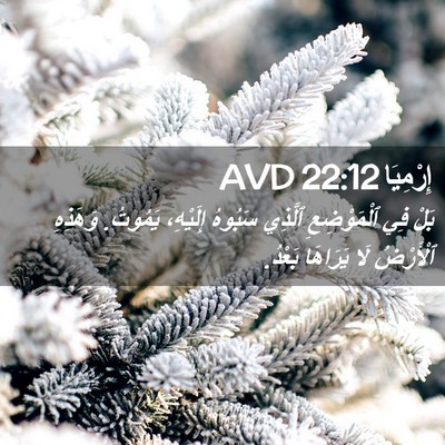 Picture 02 - إِرْمِيَا 22:12 AVD - بَلْ فِي ٱلْمَوْضِعِ - Bible Verse Picture