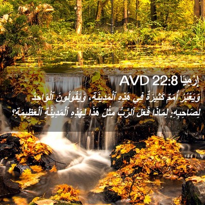Picture 02 - إِرْمِيَا 22:8 AVD - وَيَعْبُرُ أُمَمٌ - Bible Verse Picture