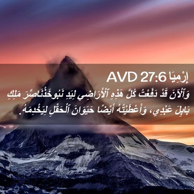Picture 02 - إِرْمِيَا 27:6 AVD - وَٱلْآنَ قَدْ دَفَعْتُ - Bible Verse Picture