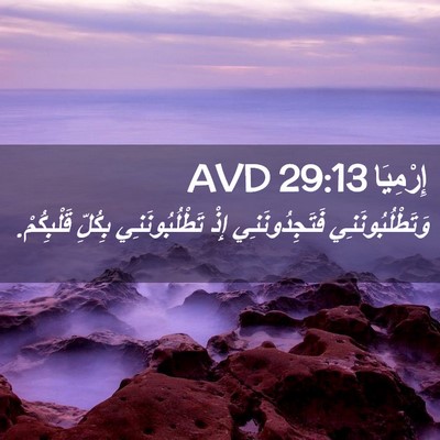 Picture 02 - إِرْمِيَا 29:13 AVD - وَتَطْلُبُونَنِي - Bible Verse Picture