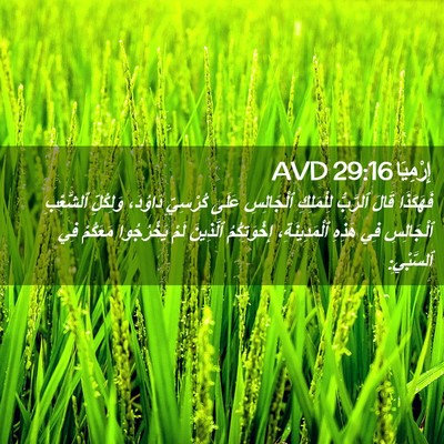 Picture 02 - إِرْمِيَا 29:16 AVD - فَهَكَذَا قَالَ ٱلرَّبُّ - Bible Verse Picture
