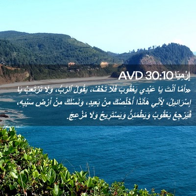 Picture 02 - إِرْمِيَا 30:10 AVD - «أَمَّا أَنْتَ يَا عَبْدِي - Bible Verse Picture