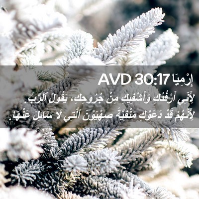 Picture 02 - إِرْمِيَا 30:17 AVD - لِأَنِّي أَرْفُدُكِ - Bible Verse Picture
