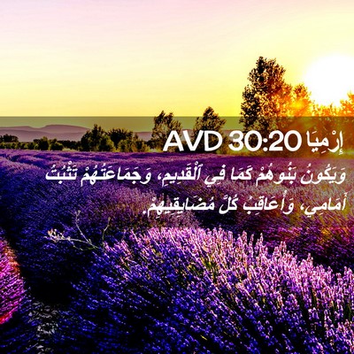 Picture 02 - إِرْمِيَا 30:20 AVD - وَيَكُونُ بَنُوهُمْ كَمَا - Bible Verse Picture