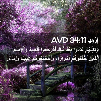 Picture 02 - إِرْمِيَا 34:11 AVD - وَلَكِنَّهُمْ عَادُوا - Bible Verse Picture