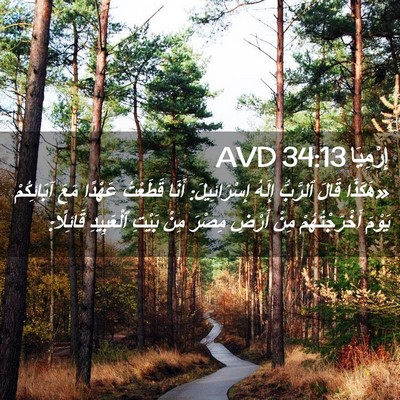 Picture 02 - إِرْمِيَا 34:13 AVD - «هَكَذَا قَالَ ٱلرَّبُّ - Bible Verse Picture