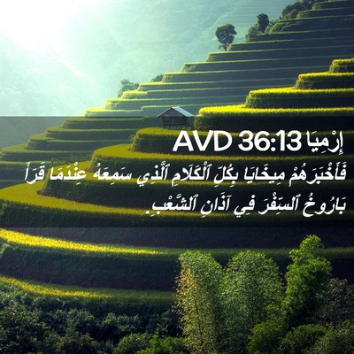 Picture 02 - إِرْمِيَا 36:13 AVD - فَأَخْبَرَهُمْ مِيخَايَا - Bible Verse Picture