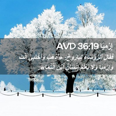 Picture 02 - إِرْمِيَا 36:19 AVD - فَقَالَ ٱلرُّؤَسَاءُ - Bible Verse Picture