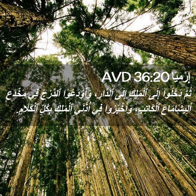 Picture 02 - إِرْمِيَا 36:20 AVD - ثُمَّ دَخَلُوا إِلَى - Bible Verse Picture
