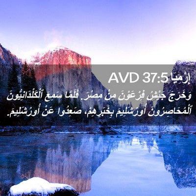 Picture 02 - إِرْمِيَا 37:5 AVD - وَخَرَجَ جَيْشُ - Bible Verse Picture