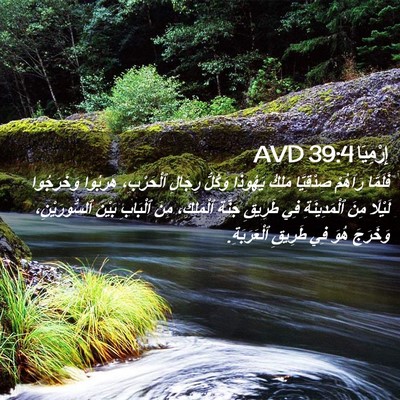 Picture 02 - إِرْمِيَا 39:4 AVD - فَلَمَّا رَآهُمْ - Bible Verse Picture