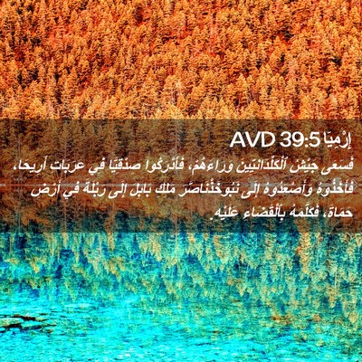 Picture 02 - إِرْمِيَا 39:5 AVD - فَسَعَى جَيْشُ - Bible Verse Picture