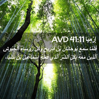 Picture 02 - إِرْمِيَا 41:11 AVD - فَلَمَّا سَمِعَ - Bible Verse Picture
