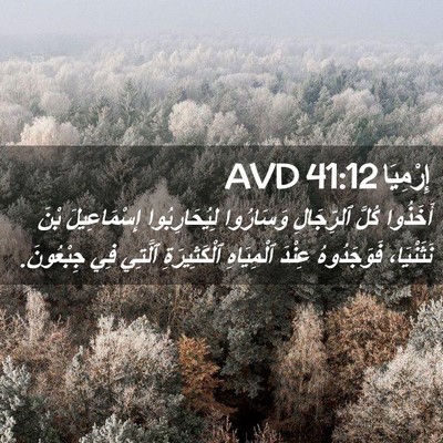 Picture 02 - إِرْمِيَا 41:12 AVD - أَخَذُوا كُلَّ ٱلرِّجَالِ - Bible Verse Picture
