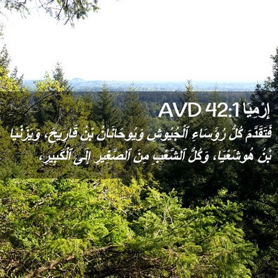 Picture 02 - إِرْمِيَا 42:1 AVD - فَتَقَدَّمَ كُلُّ - Bible Verse Picture