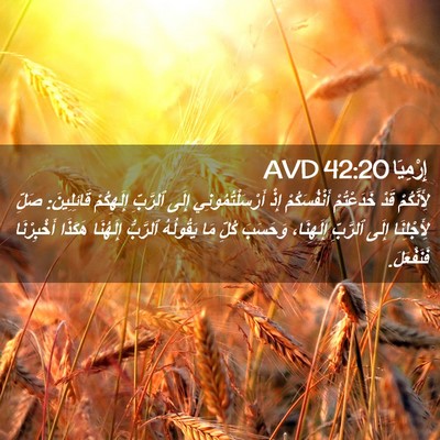 Picture 02 - إِرْمِيَا 42:20 AVD - لِأَنَّكُمْ قَدْ - Bible Verse Picture