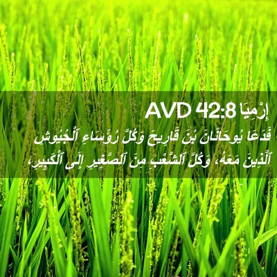 Picture 02 - إِرْمِيَا 42:8 AVD - فَدَعَا يُوحَانَانَ بْنَ - Bible Verse Picture