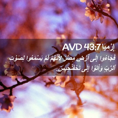 Picture 02 - إِرْمِيَا 43:7 AVD - فَجَاءُوا إِلَى أَرْضِ - Bible Verse Picture