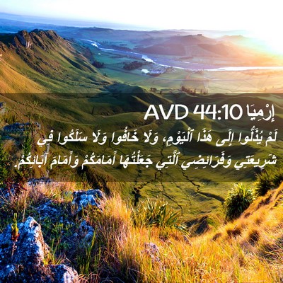 Picture 02 - إِرْمِيَا 44:10 AVD - لَمْ يُذَلُّوا إِلَى هَذَا - Bible Verse Picture