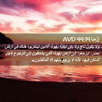 Picture 02 - إِرْمِيَا 44:14 AVD - وَلَا يَكُونُ نَاجٍ وَلَا - Bible Verse Picture