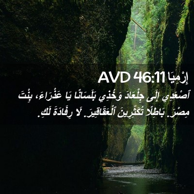 Picture 02 - إِرْمِيَا 46:11 AVD - ٱصْعَدِي إِلَى جِلْعَادَ - Bible Verse Picture