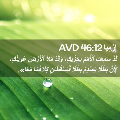 Picture 02 - إِرْمِيَا 46:12 AVD - قَدْ سَمِعَتِ ٱلْأُمَمُ - Bible Verse Picture