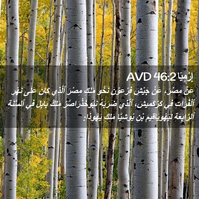 Picture 02 - إِرْمِيَا 46:2 AVD - عَنْ مِصْرَ، عَنْ جَيْشِ - Bible Verse Picture