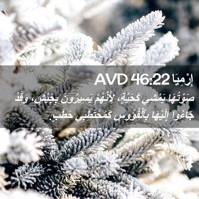 Picture 02 - إِرْمِيَا 46:22 AVD - صَوْتُهَا يَمْشِي - Bible Verse Picture