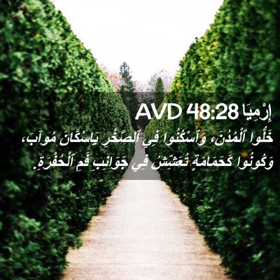 Picture 02 - إِرْمِيَا 48:28 AVD - خَلُّوا ٱلْمُدُنَ، - Bible Verse Picture