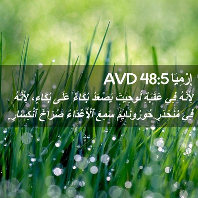 Picture 02 - إِرْمِيَا 48:5 AVD - لِأَنَّهُ فِي عَقَبَةِ - Bible Verse Picture