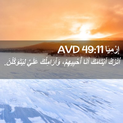 Picture 02 - إِرْمِيَا 49:11 AVD - اُتْرُكْ أَيْتَامَكَ - Bible Verse Picture