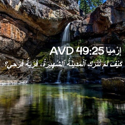 Picture 02 - إِرْمِيَا 49:25 AVD - كَيْفَ لَمْ تُتْرَكِ - Bible Verse Picture