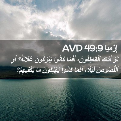 Picture 02 - إِرْمِيَا 49:9 AVD - لَوْ أَتَاكَ - Bible Verse Picture