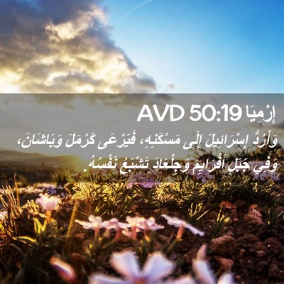 Picture 02 - إِرْمِيَا 50:19 AVD - وَأَرُدُّ إِسْرَائِيلَ - Bible Verse Picture