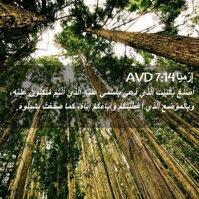 Picture 02 - إِرْمِيَا 7:14 AVD - أَصْنَعُ بِٱلْبَيْتِ - Bible Verse Picture