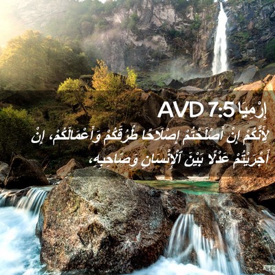 Picture 02 - إِرْمِيَا 7:5 AVD - لِأَنَّكُمْ إِنْ - Bible Verse Picture