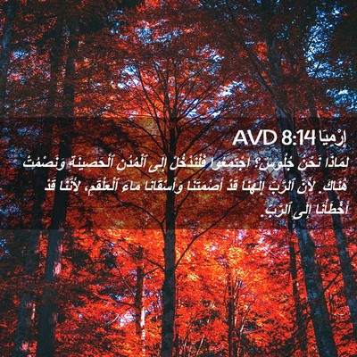 Picture 02 - إِرْمِيَا 8:14 AVD - لِمَاذَا نَحْنُ جُلُوسٌ؟ - Bible Verse Picture