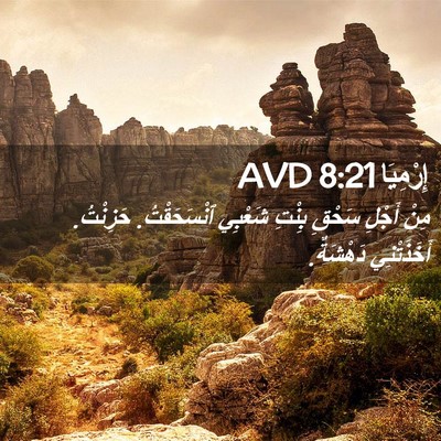 Picture 02 - إِرْمِيَا 8:21 AVD - مِنْ أَجْلِ سَحْقِ بِنْتِ - Bible Verse Picture