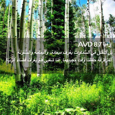 Picture 02 - إِرْمِيَا 8:7 AVD - بَلِ ٱللَّقْلَقُ فِي - Bible Verse Picture