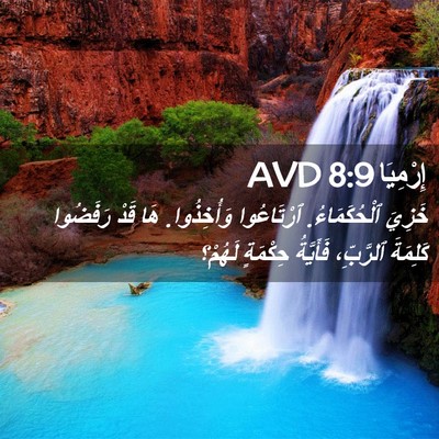 Picture 02 - إِرْمِيَا 8:9 AVD - خَزِيَ ٱلْحُكَمَاءُ. - Bible Verse Picture